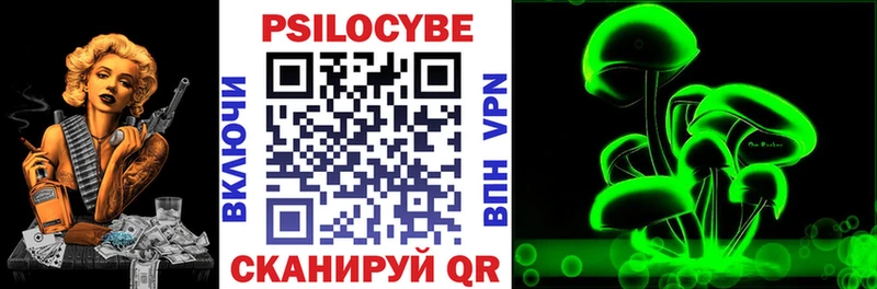 Купить где  Давлеканово  Псилоцибиновые грибы Magic Shrooms 